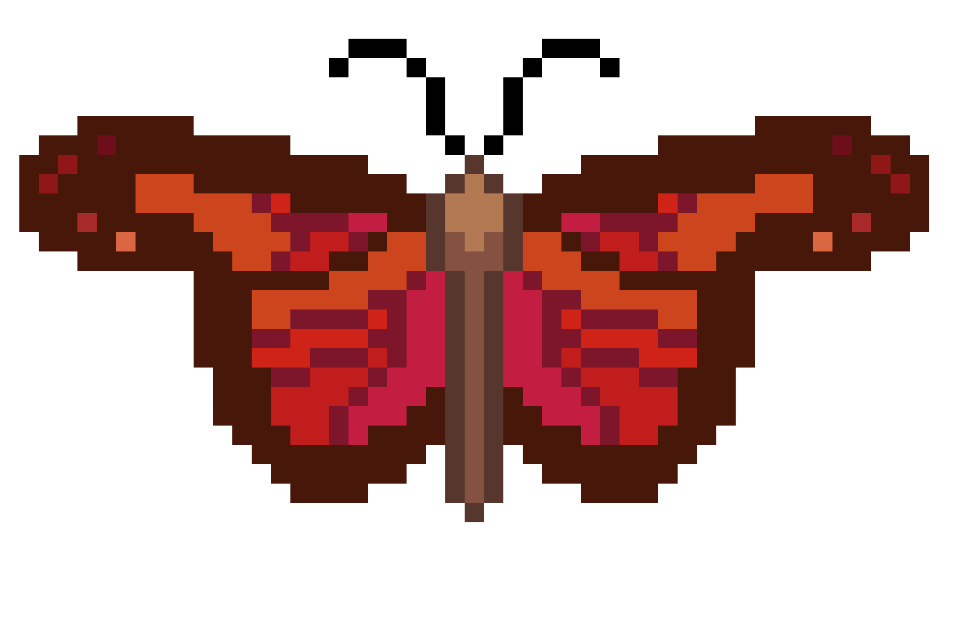 pretty butterfly